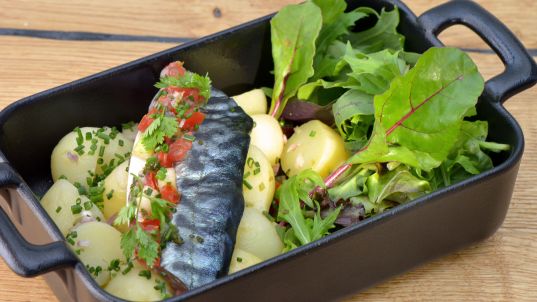 Bistrot 1954 Finistere - hotel finistere nord