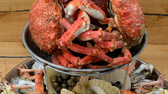 Bistrot 1954 Finistere - hotel finistere nord