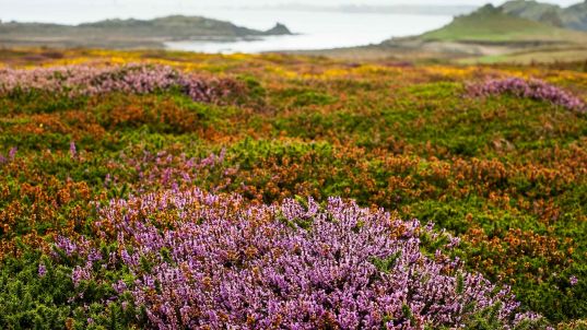 Plage en Bretagne - hotel finistere