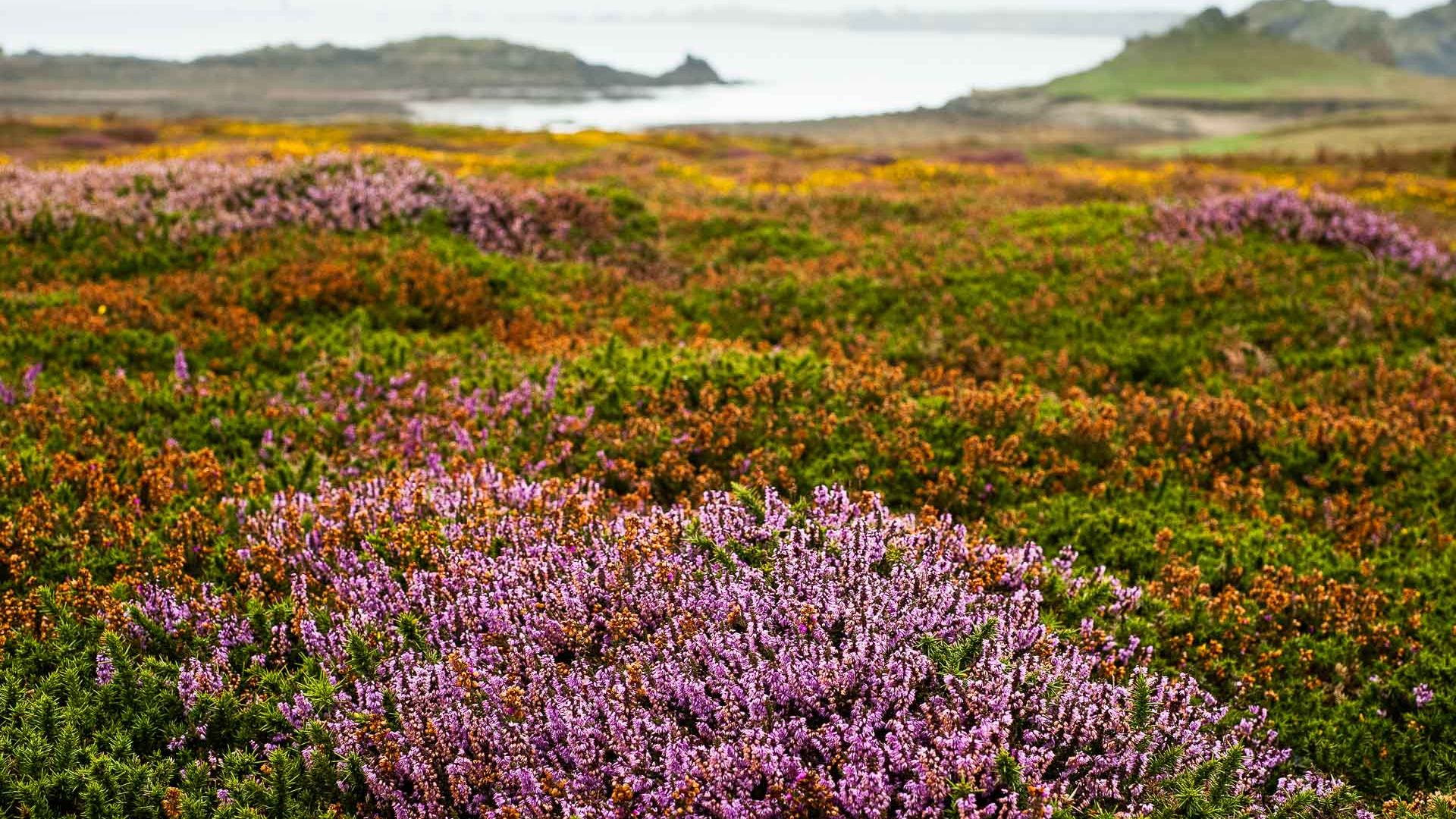 Plage Finistere - hotel finistere